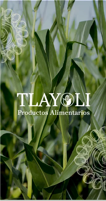 Tlayoli nosotros